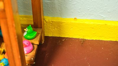 Historical Rubber Duck Museum