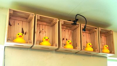 Historical Rubber Duck Museum