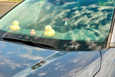 Historical Rubber Duck Museum