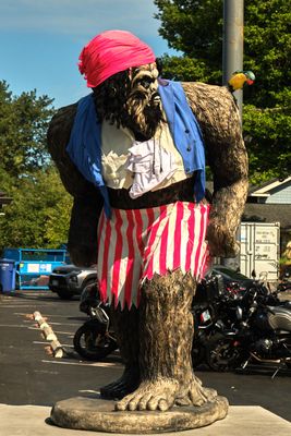 Pirate Bigfoot