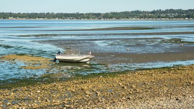 Birch Bay Sand Sculpture Competition