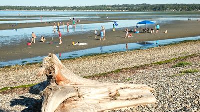 Birch Bay Sand Sculpture Competition