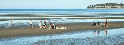 Birch Bay Sand Sculpture Competition