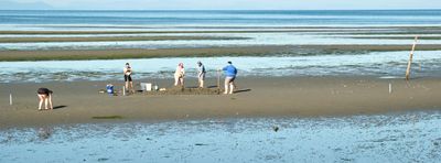 Birch Bay Sand Sculpture Competition