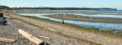 Birch Bay Sand Sculpture Competition