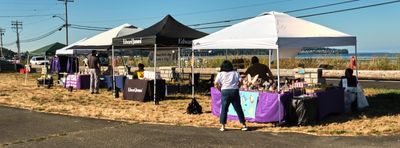 Birch Bay Sand Sculpture Competition