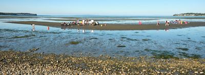 Birch Bay Sand Sculpture Competition