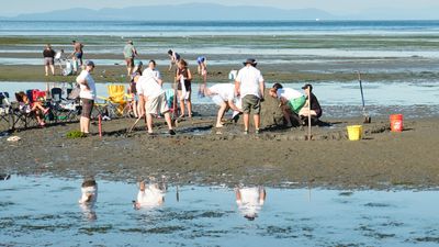Birch Bay Sand Sculpture Competition