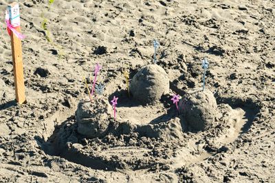 Birch Bay Sand Sculpture Competition