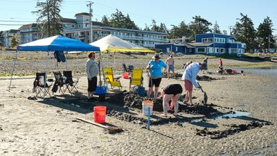 Birch Bay Sand Sculpture Competition