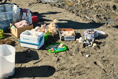 Birch Bay Sand Sculpture Competition