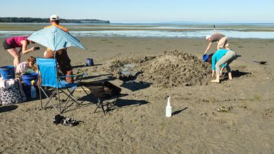 Birch Bay Sand Sculpture Competition