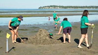 Birch Bay Sand Sculpture Competition