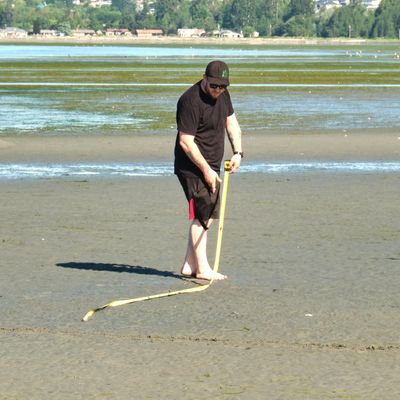 Birch Bay Sand Sculpture Competition