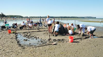 Birch Bay Sand Sculpture Competition