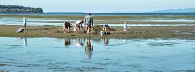 Birch Bay Sand Sculpture Competition