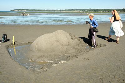 Birch Bay Sand Sculpture Competition