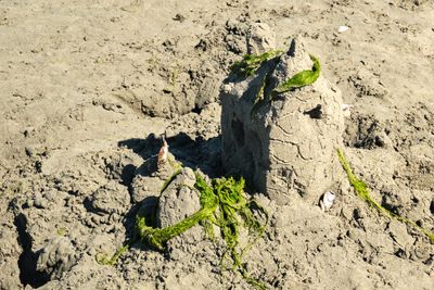 Birch Bay Sand Sculpture Competition