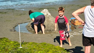 Birch Bay Sand Sculpture Competition