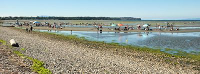Birch Bay Sand Sculpture Competition