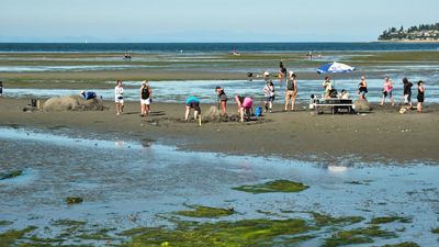 Birch Bay Sand Sculpture Competition