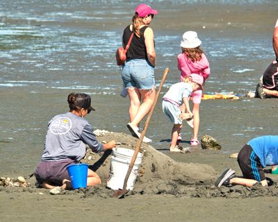 Birch Bay Sand Sculpture Competition