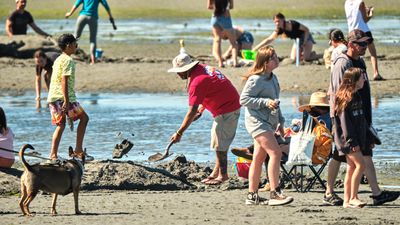 Birch Bay Sand Sculpture Competition