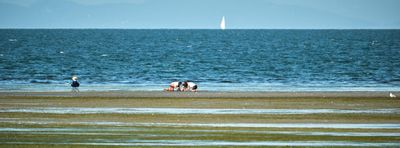 Birch Bay Sand Sculpture Competition