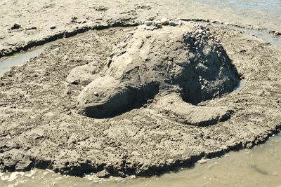 Birch Bay Sand Sculpture Competition