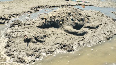 Birch Bay Sand Sculpture Competition