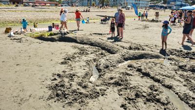 Birch Bay Sand Sculpture Competition