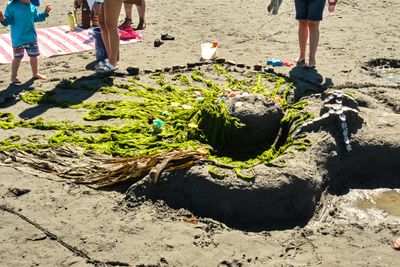 Birch Bay Sand Sculpture Competition
