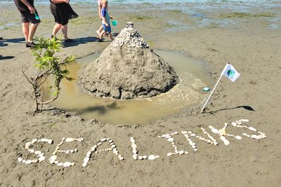 Birch Bay Sand Sculpture Competition