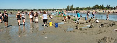 Birch Bay Sand Sculpture Competition