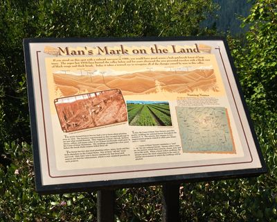 Hiawatha Trail