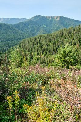 Hiawatha Trail