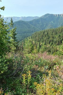 Hiawatha Trail