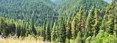 Hiawatha Trail