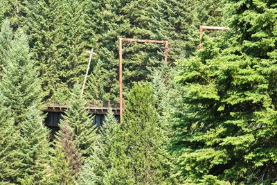 Hiawatha Trail