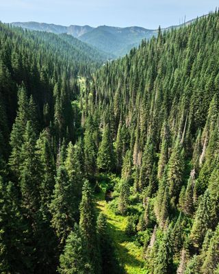 Hiawatha Trail