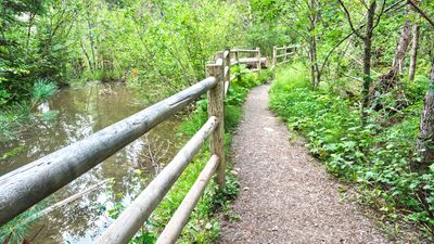 Pulaski Tunnel Trail