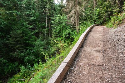 Pulaski Tunnel Trail