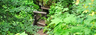 Pulaski Tunnel Trail