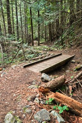 Pulaski Tunnel Trail