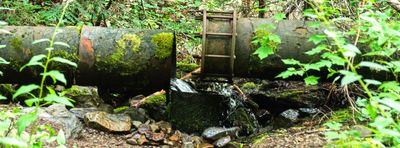 Pulaski Tunnel Trail
