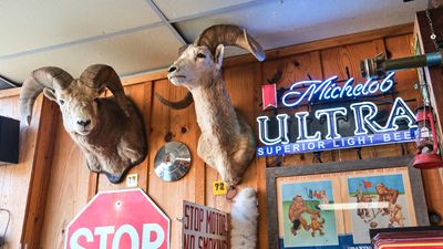 North Idaho Trading Company