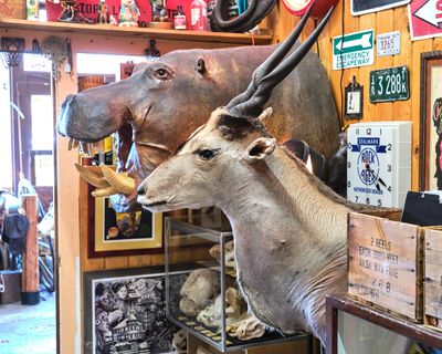 North Idaho Trading Company