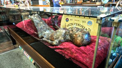 North Idaho Trading Company