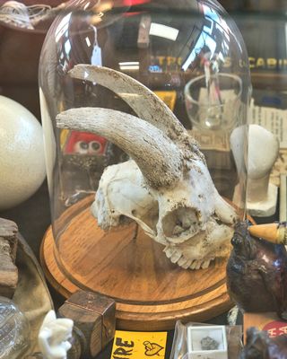 North Idaho Trading Company