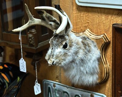 North Idaho Trading Company